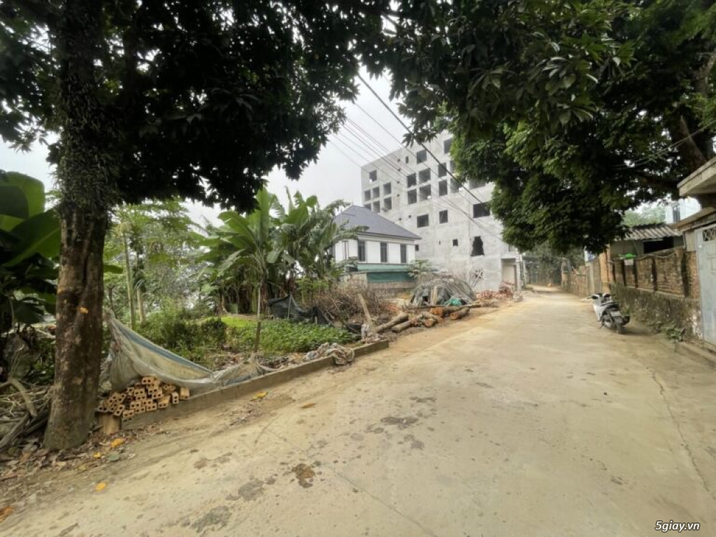 Hình ảnh bất động sản
