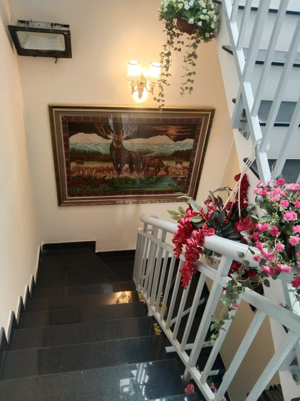 Hình ảnh bất động sản