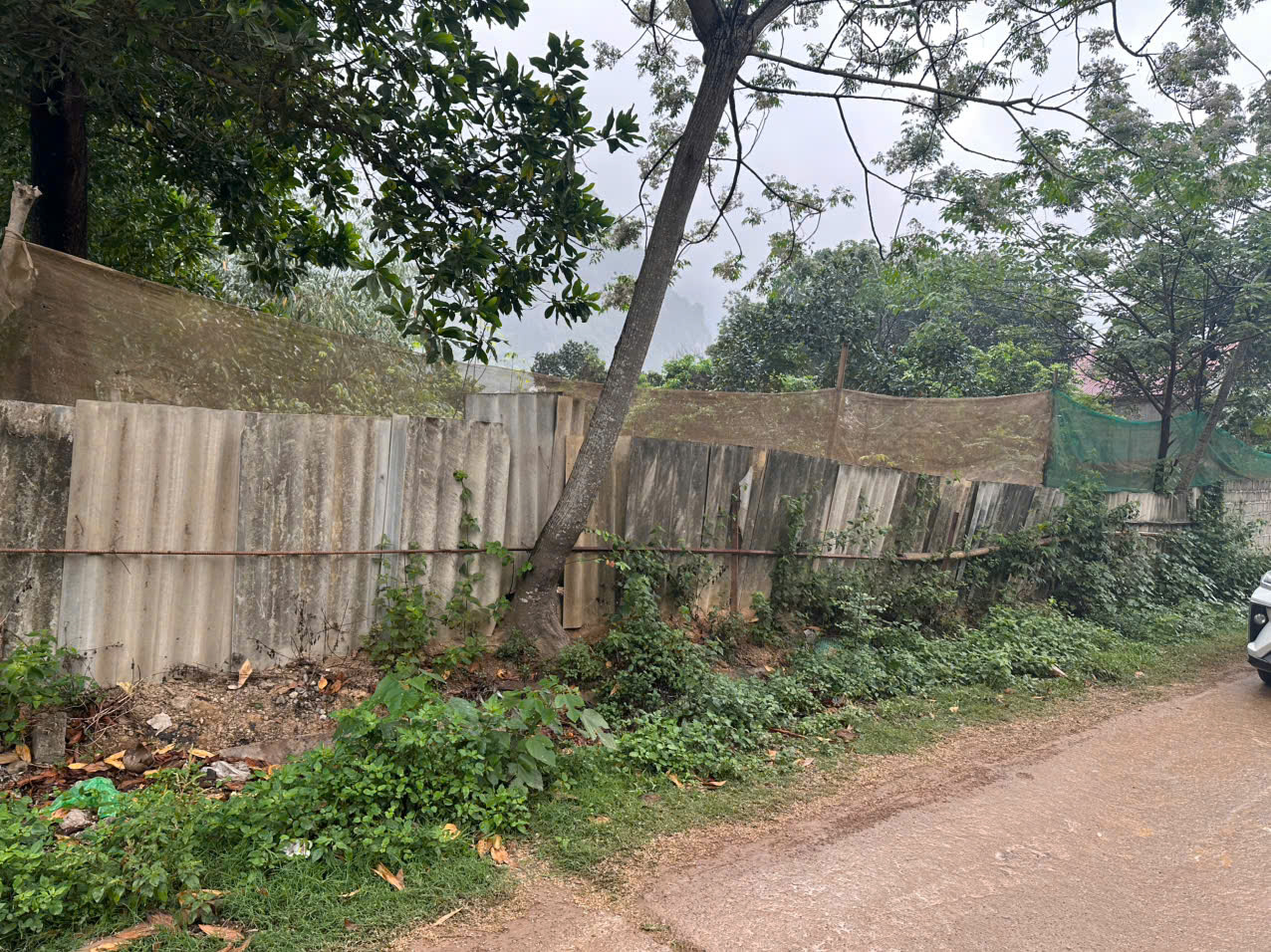 Hình ảnh bất động sản