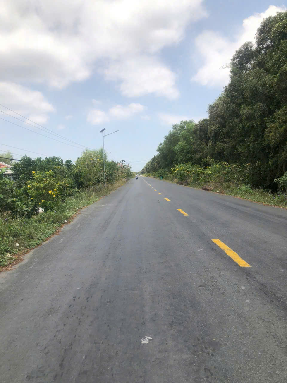Hình ảnh bất động sản