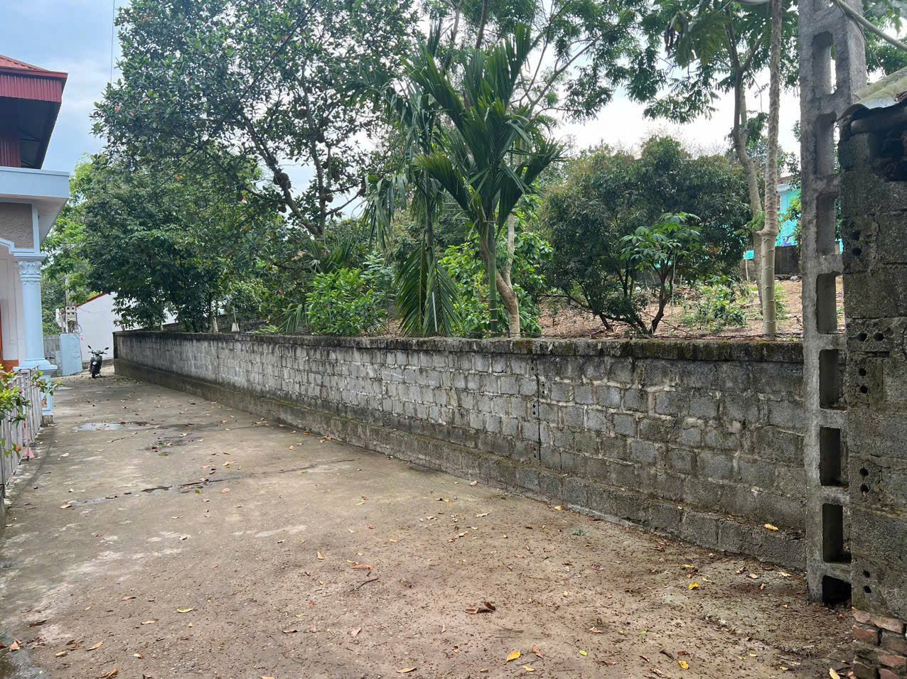 Hình ảnh bất động sản
