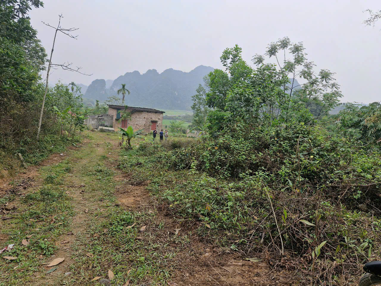 Hình ảnh bất động sản