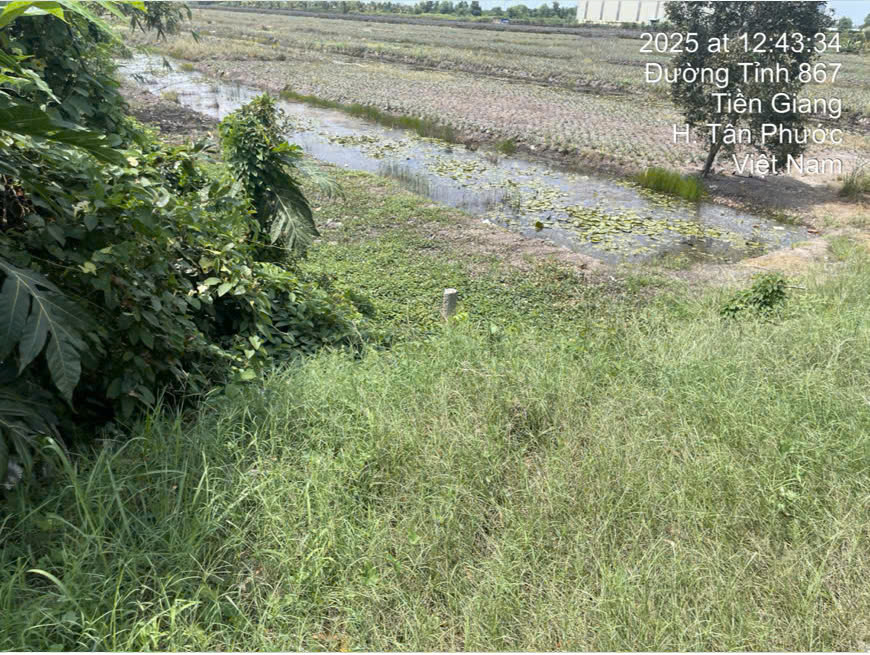 Hình ảnh bất động sản