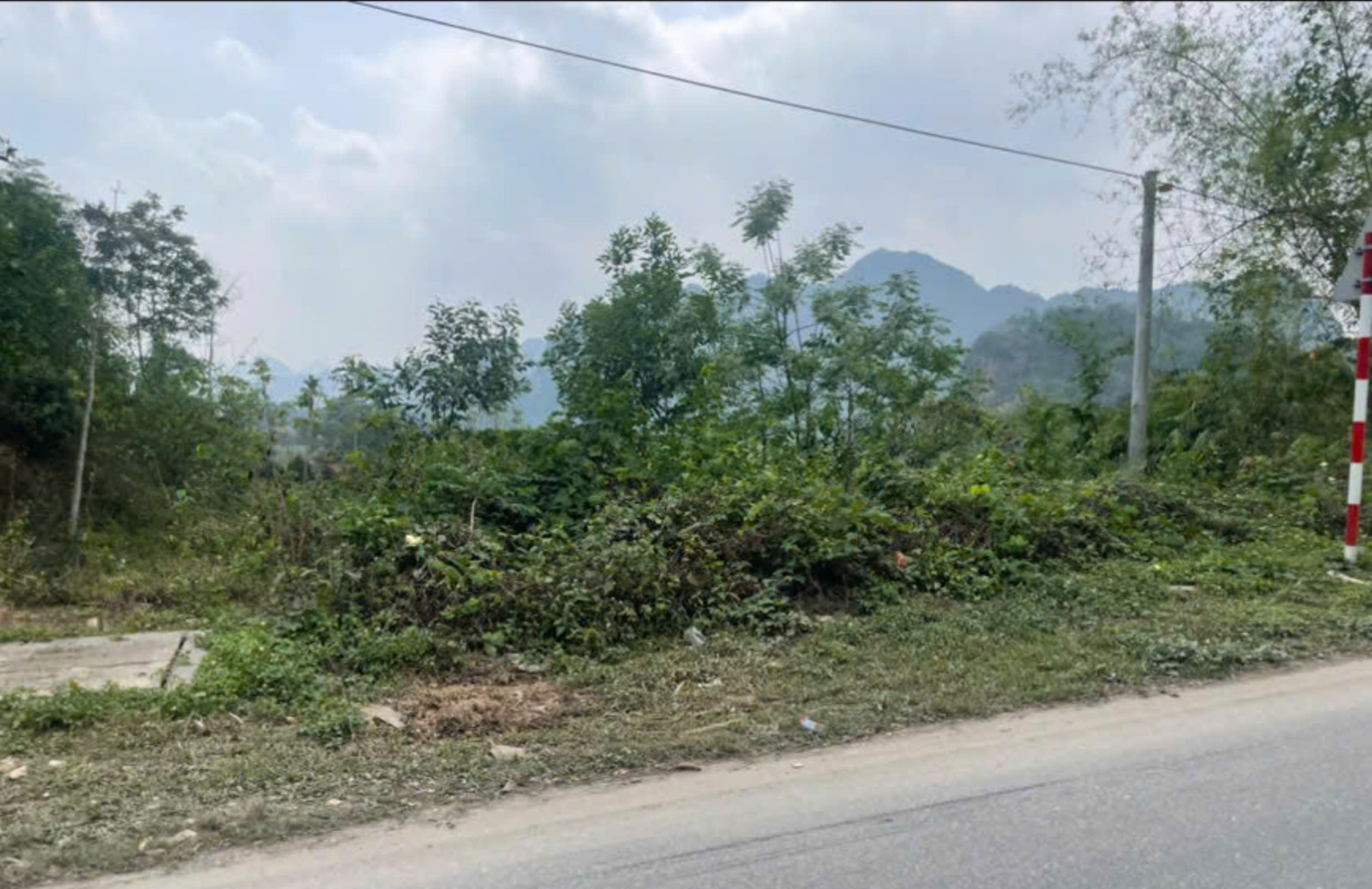 Hình ảnh bất động sản